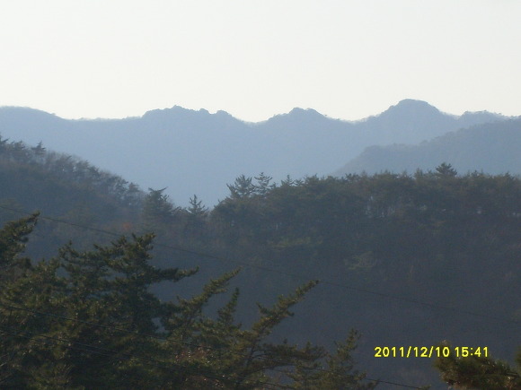 나무요일 이미지