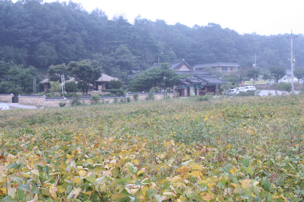 소설여행 이미지