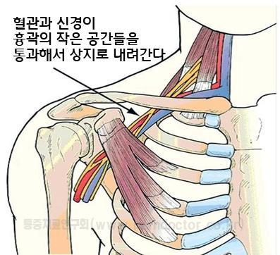 아나파의원 이미지