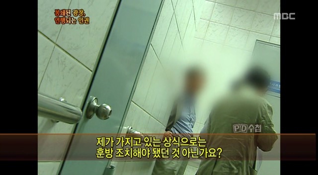 배추머리 이미지