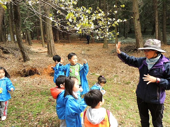 숲유치원 이미지