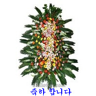로고스시티 이미지