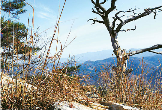 소슬바람 이미지