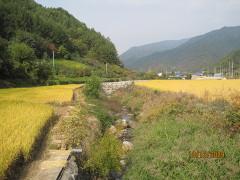 맑은빛목소리 이미지