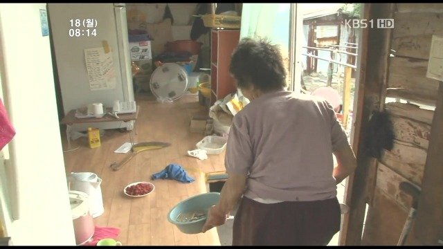 고양이 구박하는 훈할머니.JPG | 인스티즈