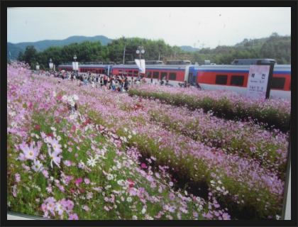 내일로가는마차 이미지