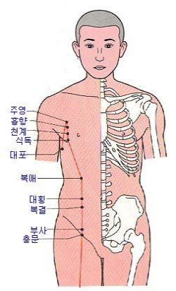 태음 이미지