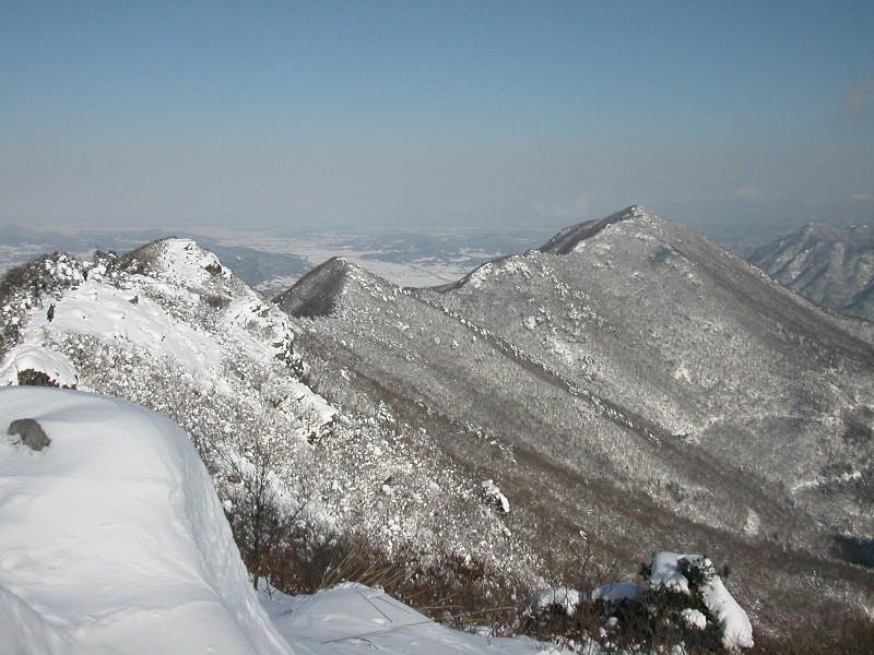 영산산림 이미지