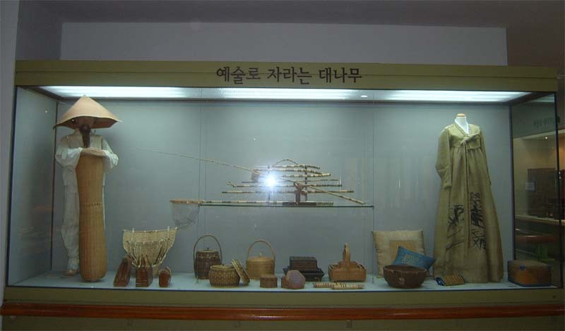 한국대나무 이미지