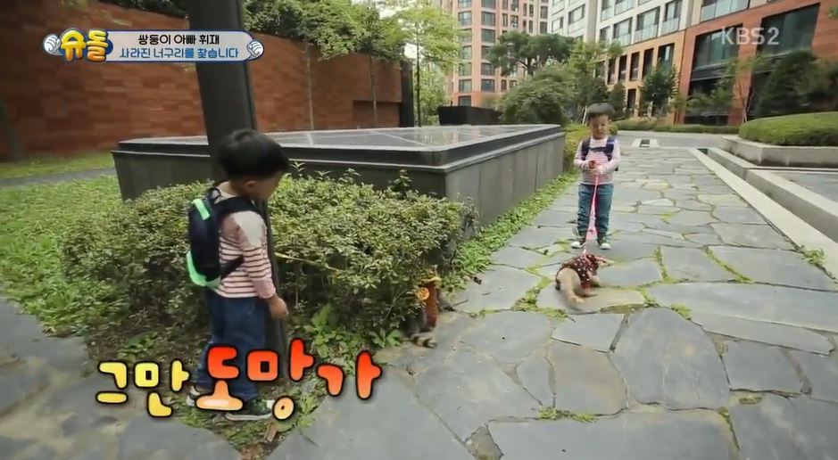 서언이 서준이 보면서 놀란 아이들의 감정 | 인스티즈