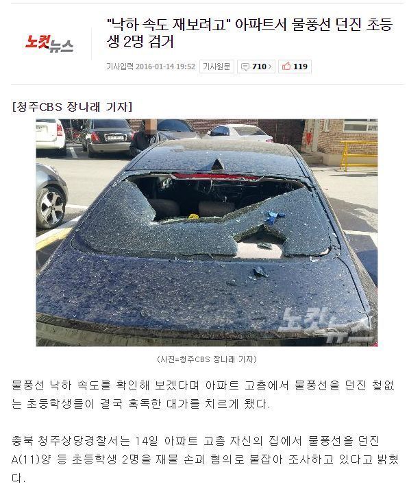 제 2의 캣맘 | 인스티즈