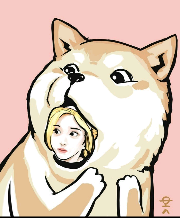 꽃보다 사나 | 인스티즈