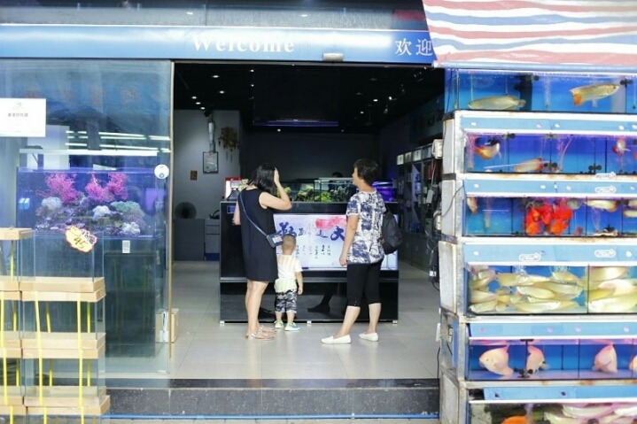 피쉬마켓 이미지