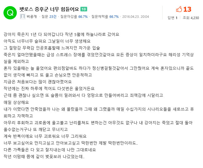 펫로스 증후군을 앓고 있는 사람들 | 인스티즈