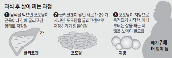 내가 모은 잡다한 정보들 데이터주의 | 인스티즈