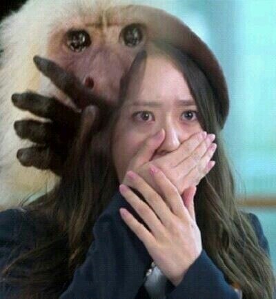 엘존 이미지
