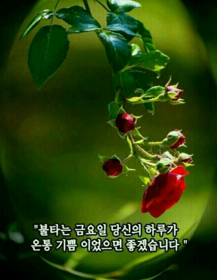 좋은사이 이미지