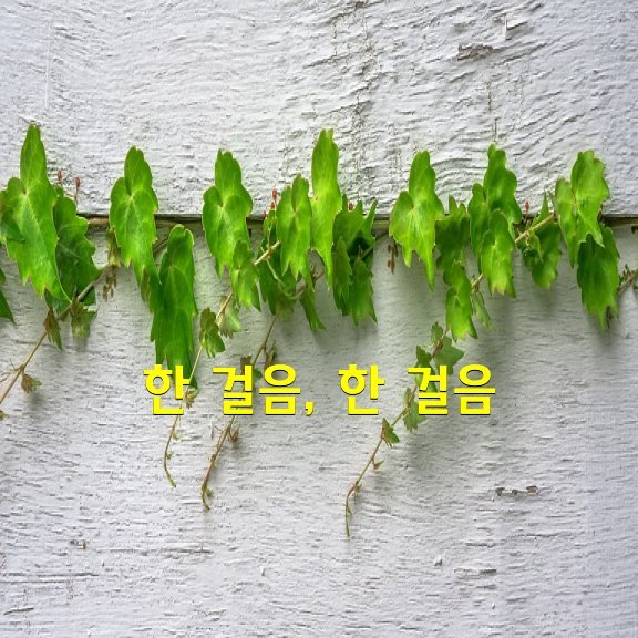 터진만두 이미지