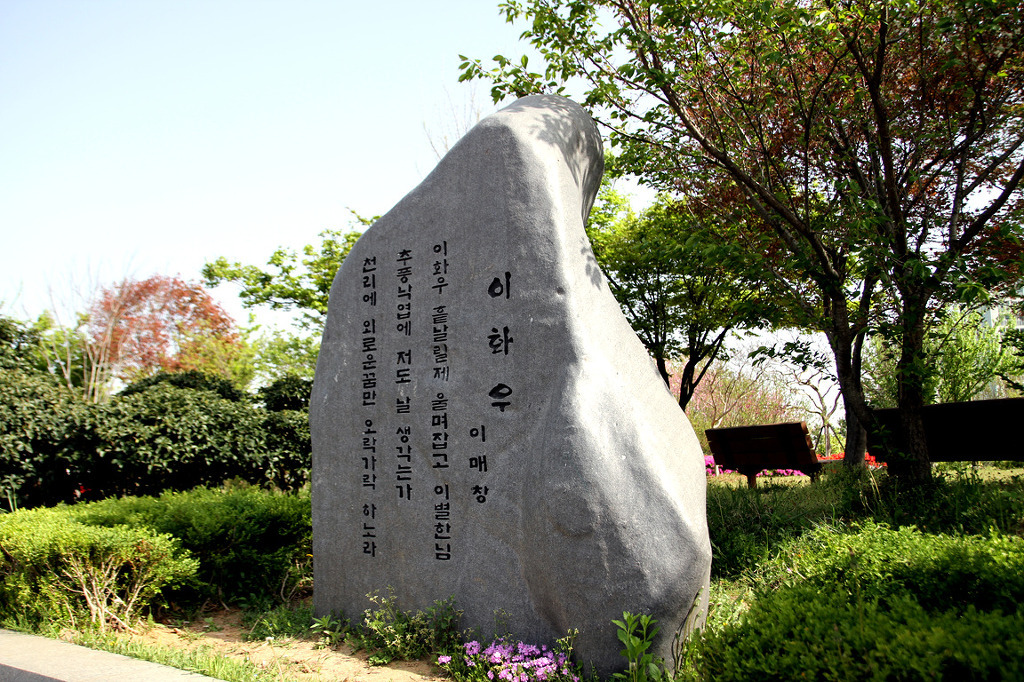 이화우 이미지