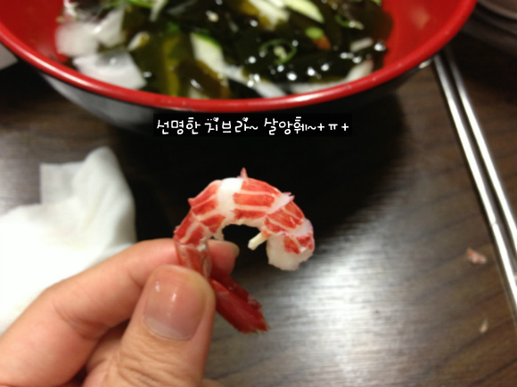 독도꽃새우 이미지