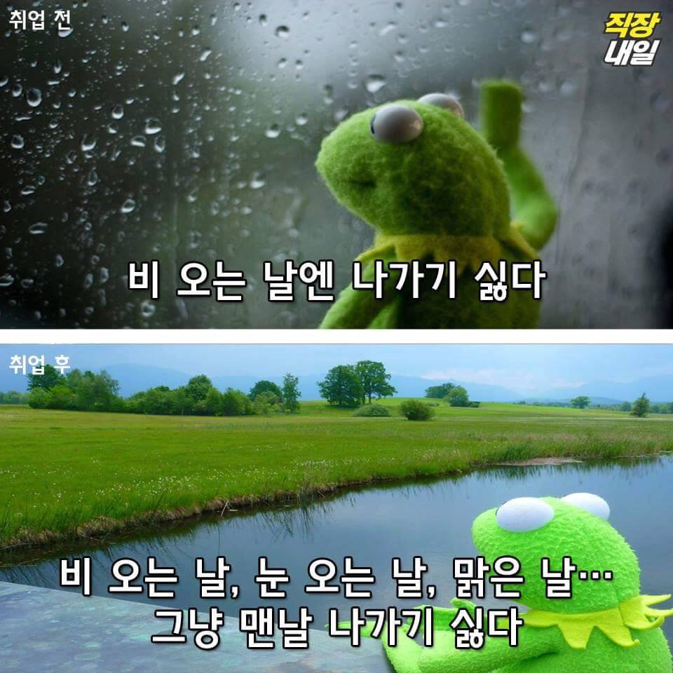 직장인이 되기 전과 후.jpg | 인스티즈
