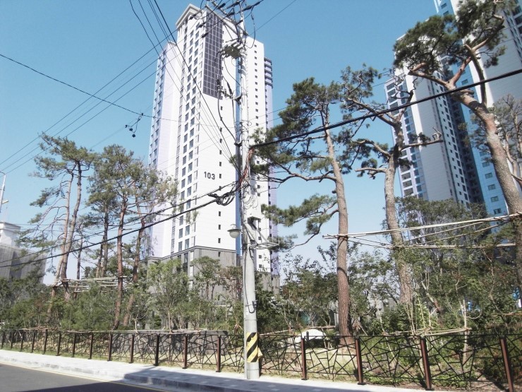 강남의 흔한 9억대 아파트 | 인스티즈