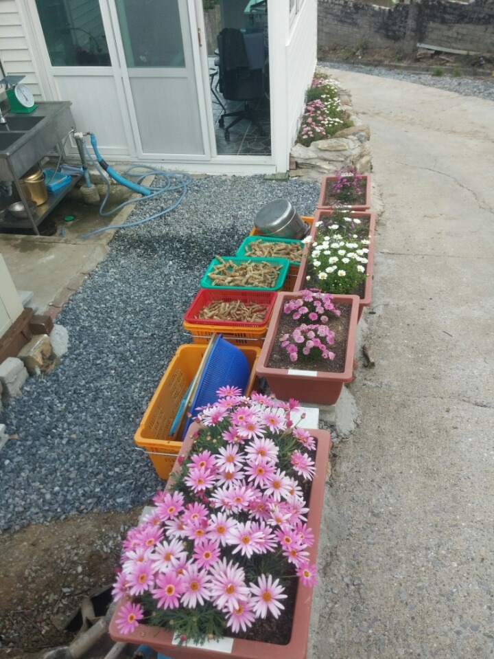 가나수산 이미지