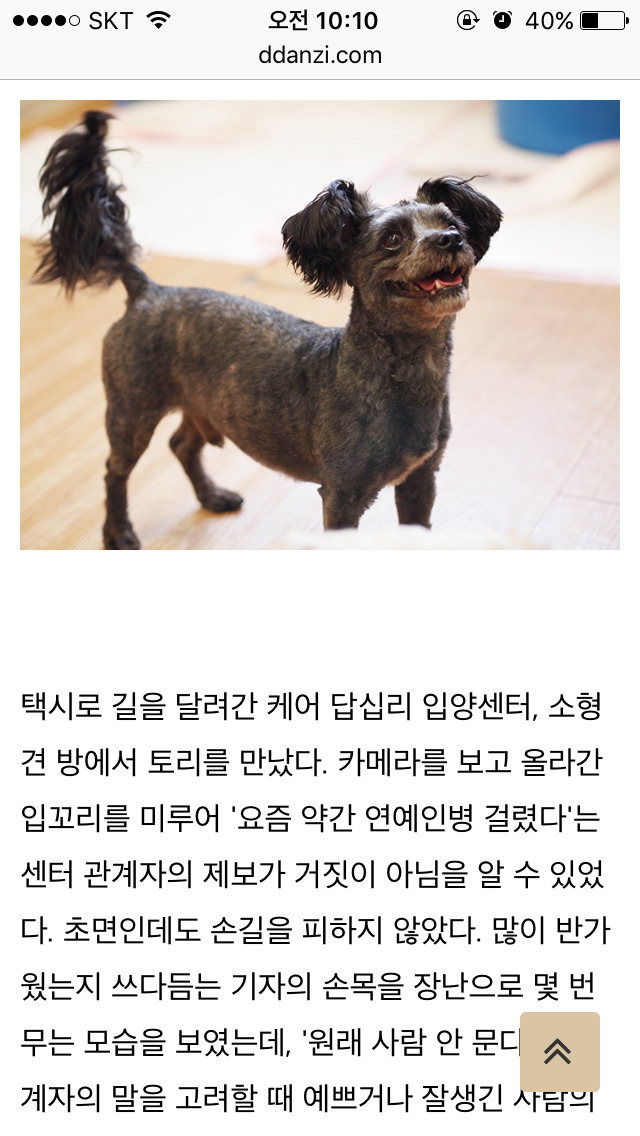 이너뷰] 문재인 정부의 막강 권력 : 퍼스트 독 토리 긴급 인터뷰 | 인스티즈
