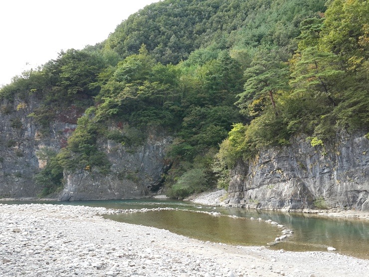 개미들솔향기야영장 이미지