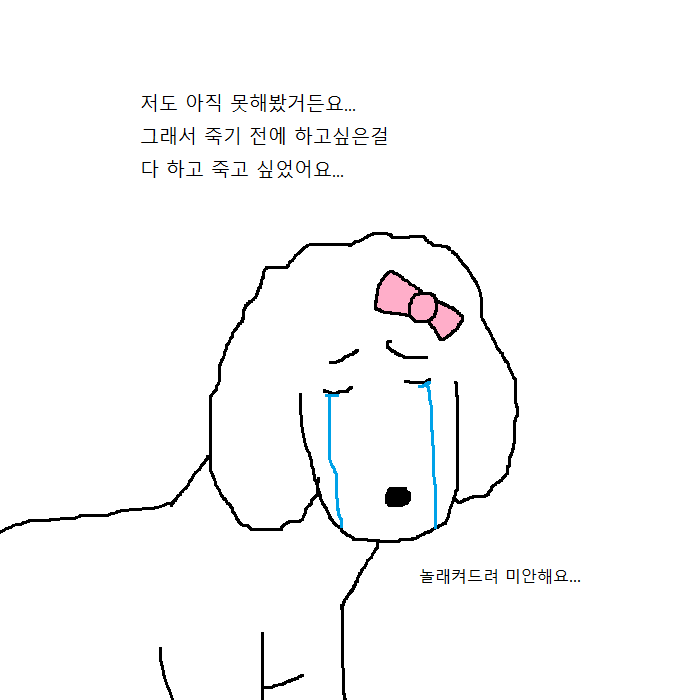 개꿈 레전드 | 인스티즈