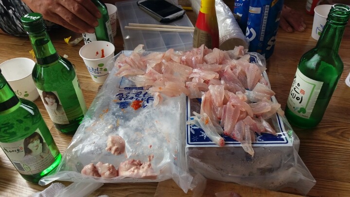 게스템프카테크 이미지