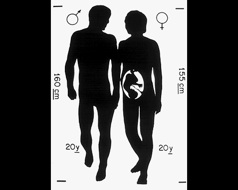 자기소개서甲 | 인스티즈