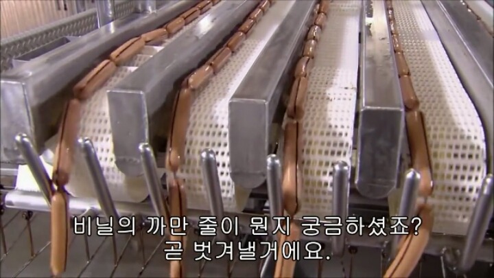 핫도그 소시지가 만들어지는 과정-2 | 인스티즈
