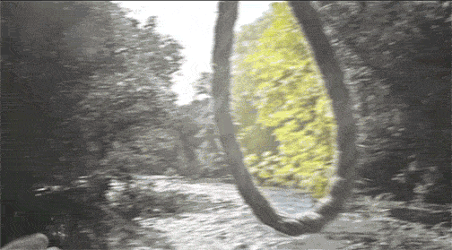 자살하는 사람들의 심정...gif | 인스티즈