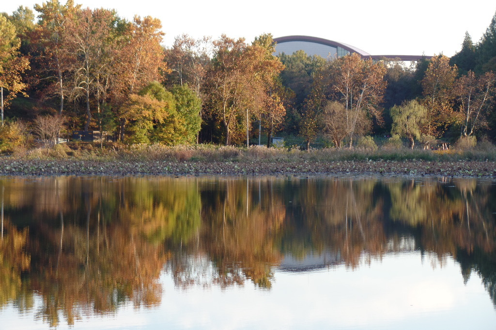 전주 오송제 호수에 비추인 동화 속 가을 풍경 사진을 전체 확대한 모습 감상 | 인스티즈