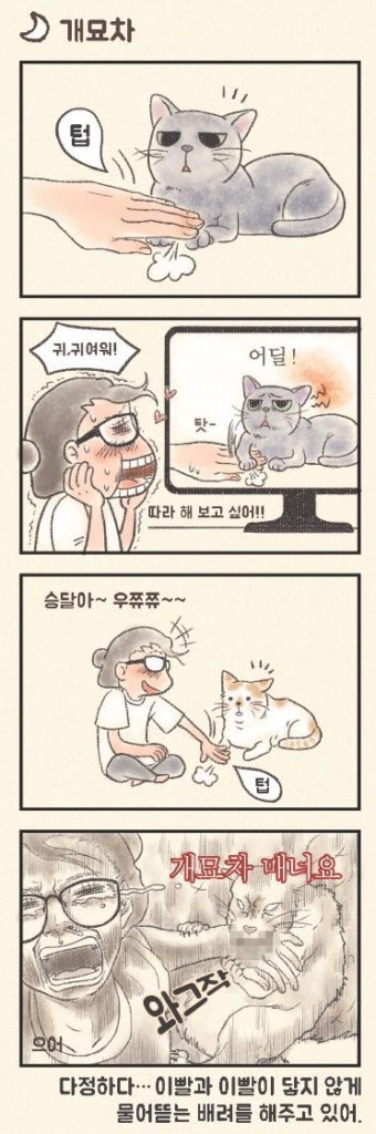 상상 속의 고양이 vs 실제 고양이 | 인스티즈