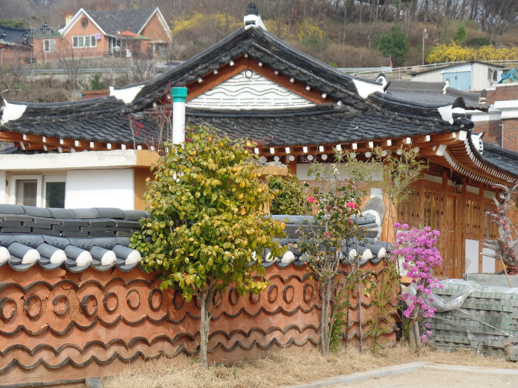 한옥마을의 화사한 봄꽃 감상 | 인스티즈