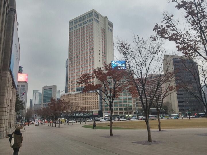 오늘자 서울 도심 | 인스티즈