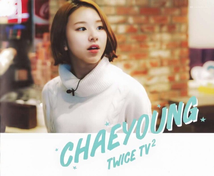 트와이스 두부 꾹꾹이 아기맹수 | 인스티즈