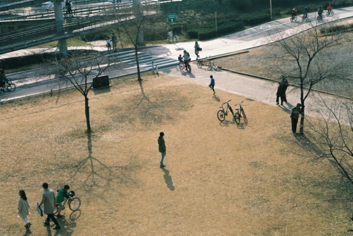 직접 찍은 필름카메라 사진 | 인스티즈