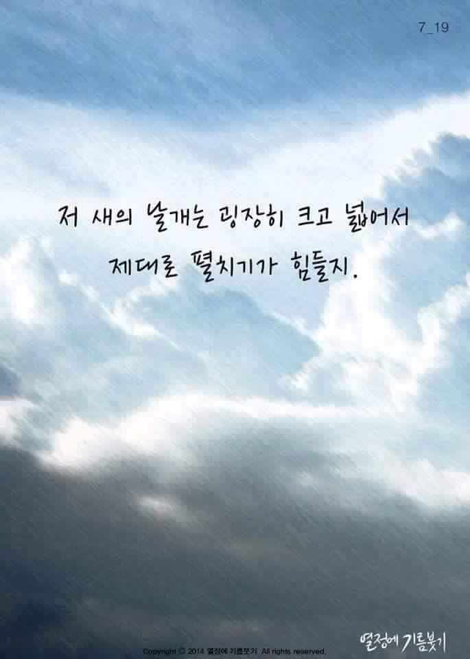 날개가 너무 커서 날지 못하는 새 | 인스티즈