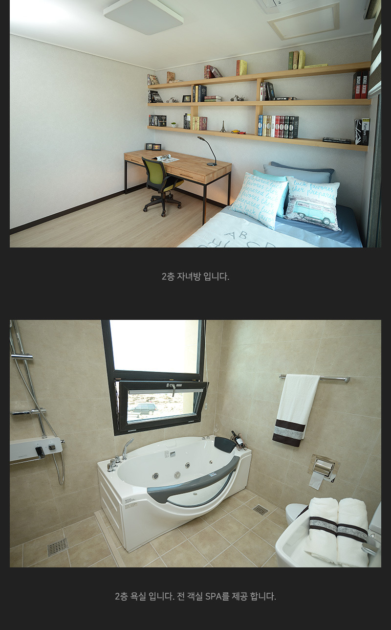 해안초 이미지