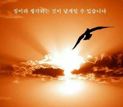 * 행복을 여는 비결 * | 인스티즈