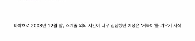 흔치 않은 아이돌의 애완동물 일대기.jpg | 인스티즈