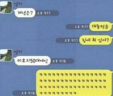 반도의 흔한가족 .jyp | 인스티즈