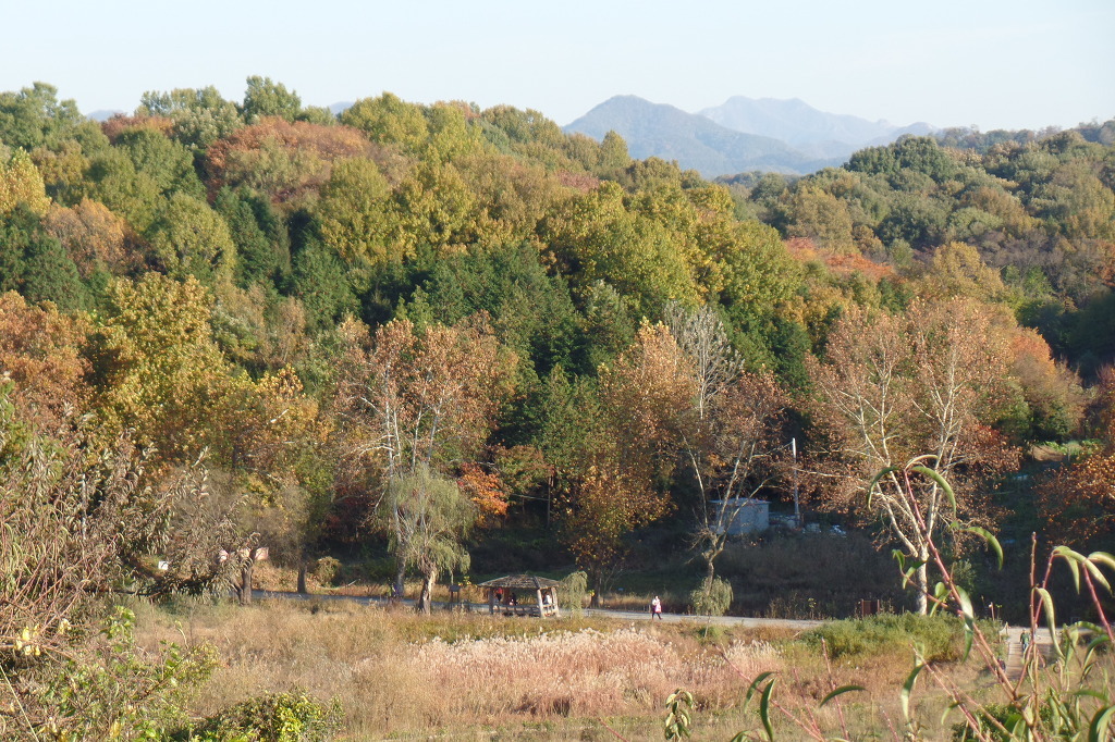 전주 오송제 호수에 비추인 동화 속 가을 풍경 사진을 전체 확대한 모습 감상 | 인스티즈