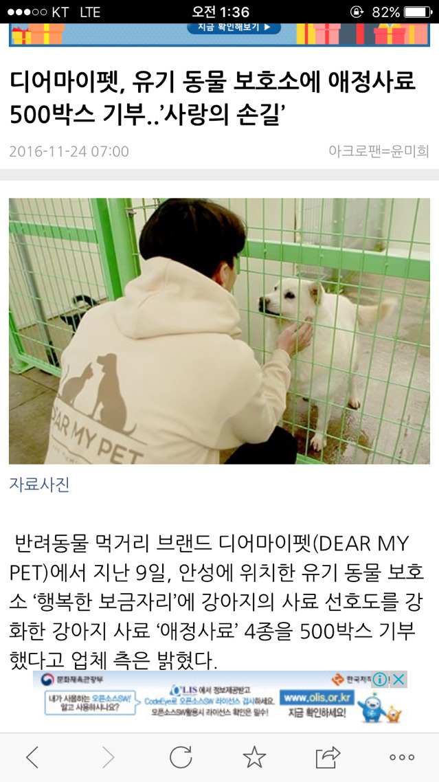 반려동물을 도와주세요ㅠㅠ! | 인스티즈