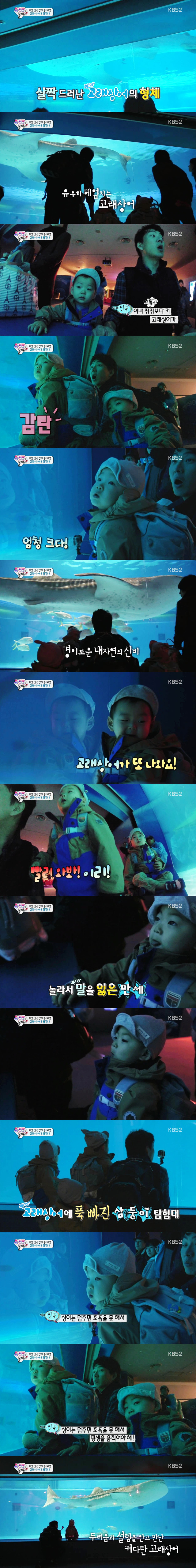 [슈퍼맨이돌아왔다] 아이들의 순수함이 보였던 삼둥이 수족관 에피♡.jpg | 인스티즈