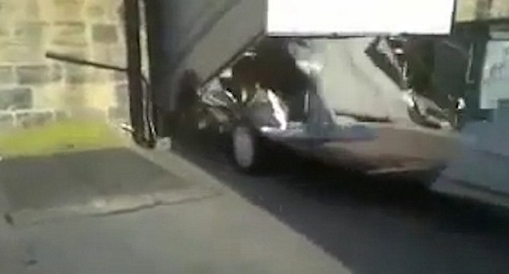 얘들아! 캠핑가자!.gif | 인스티즈