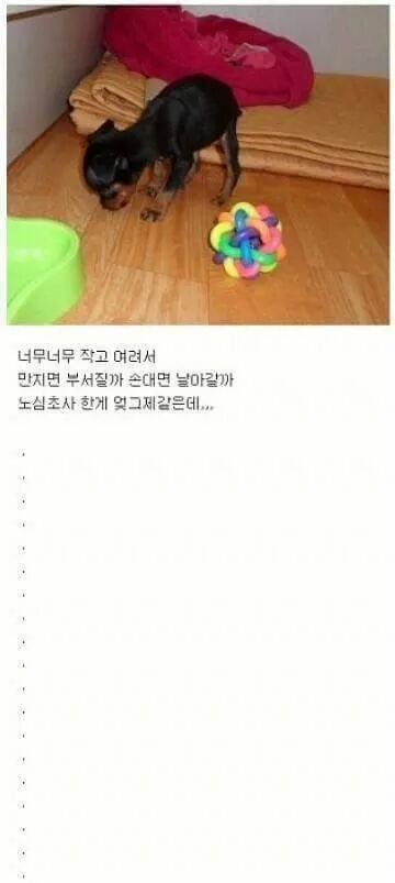 애지중지 이미지